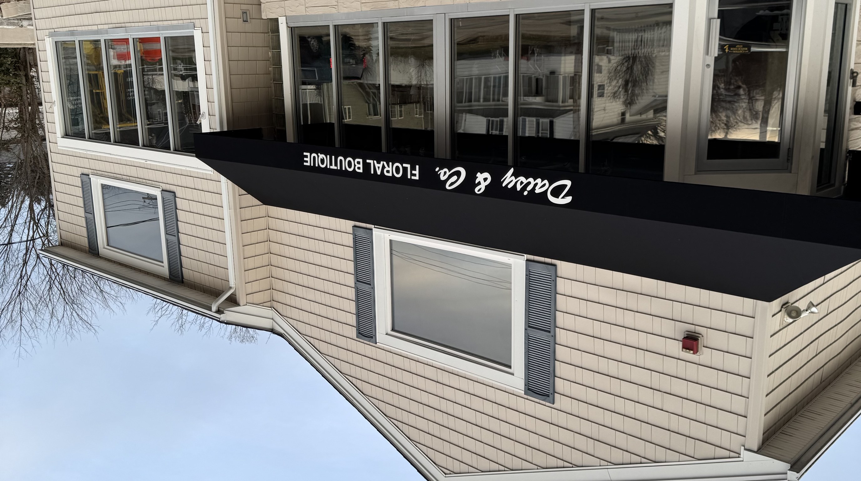 Storefront solar film